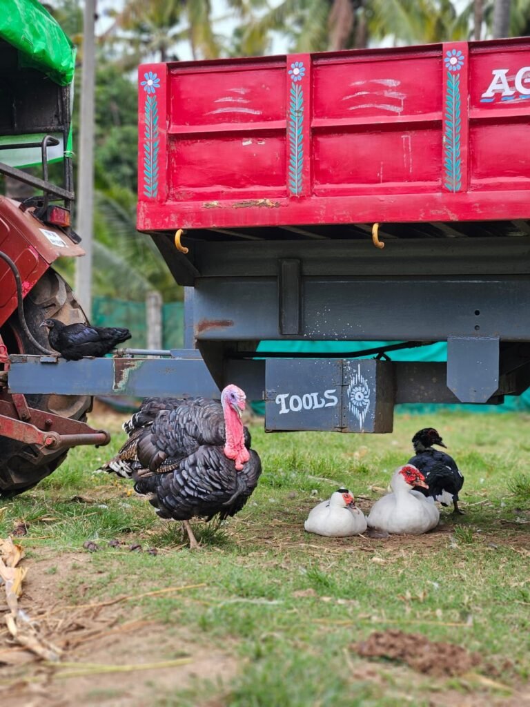 WhatsApp Image 2025-10-18 at 12.47.02_c44df12f